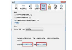 上网会留下浏览记录 火狐浏览器如何清除缓存和浏览记录