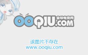 高手教你如何提升个人能力 个人竞技是最好的试金石