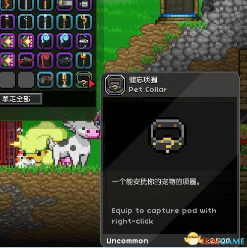 星界边境照明宠物如何用_星界边境辅助照明宠物使用办法
