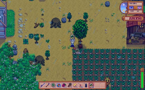 星露谷物语农作物种植攻略_星露谷物语农作物如何种最好