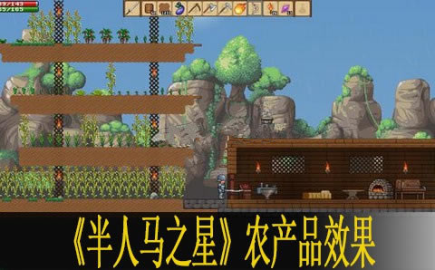 半人马之星农产品有什么作用_半人马之星农产品效果列表