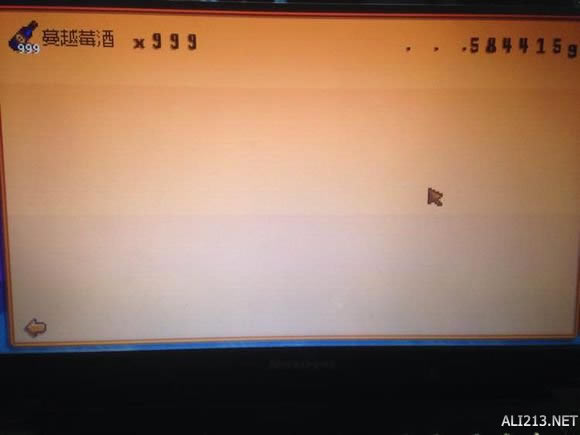 星露谷物语如何赚钱种地_星露谷物语赚钱种地及谷古董收集技巧