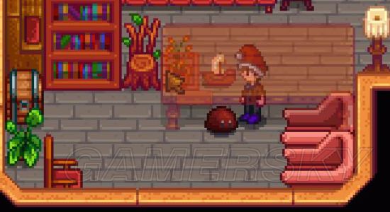 星露谷物语家养史莱姆图文教程_星露谷物语家具摆放及物品使用心得