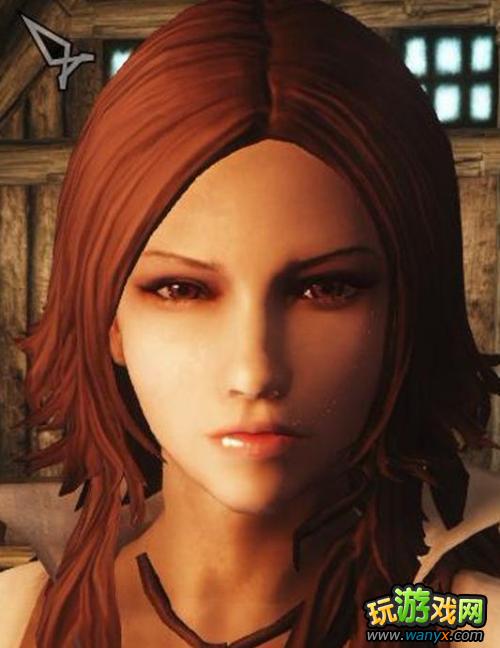 《上古卷轴5》NPC说话没字幕的处理办法