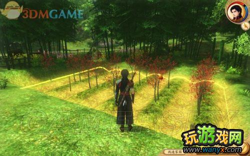 ���Ž���̷��ȫ���顢֧�ߡ��ռ�ͼ����ϸ����