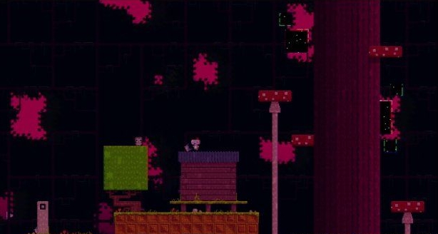 ����˹��èͷӥ���Ű취����ֻèͷӥ�ռ��ص�