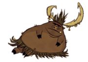 �����ġ��������ⲻ��������ΰ죿