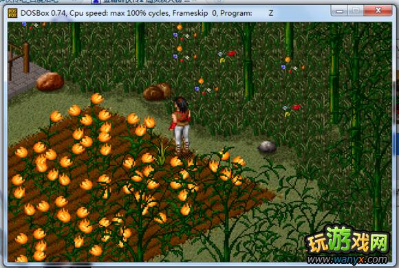 ����ӹȺ����1�����������﹥��