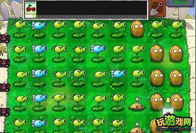 ��ֲ���ս��ʬ�� ͼ��ȫ����