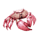 ��Ӣ�۴�˵����֮�켣������ص㡢��Ʒ��ȫ