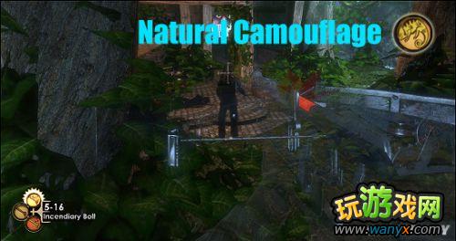 ��������������ޡ�������ϸͼ�İ׽���