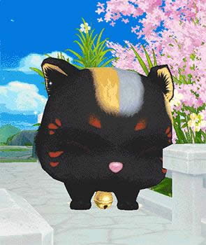 QQּַ QQּ