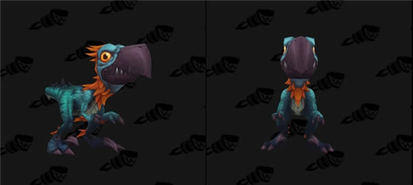 魔兽世界7.1隼龙宠物坐骑获得办法 魔兽世界7.1隼龙如何得
