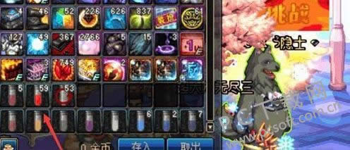 dnf动物套是什么?