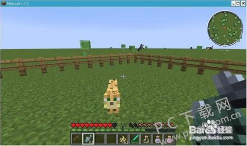 �ҵ����籪è���ѱ����