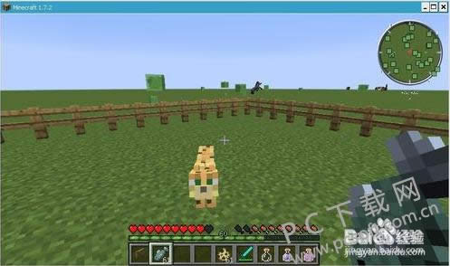 �ҵ����籪è���ѱ����