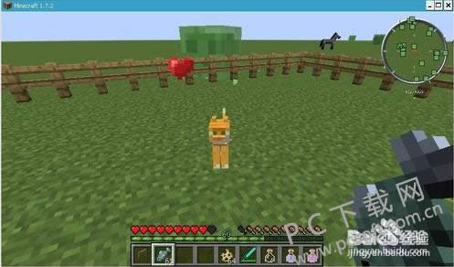 �ҵ����籪è���ѱ����