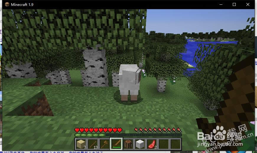 我的世界如何玩?