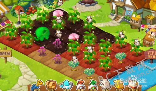 qq农场如何升级最快?