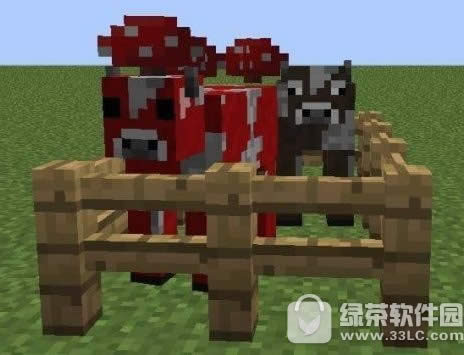 �ҵ�����ţ���ѱ�� �ҵ�����ţ��ʲô��ֳ