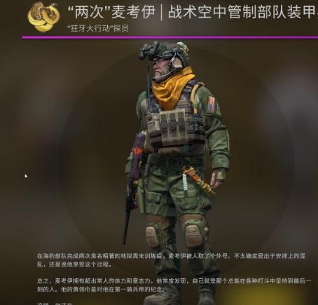 csgoж̽ԱһЩ csgoжȫ̽Աб