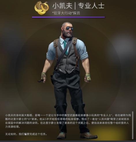 csgoж̽ԱһЩ csgoжȫ̽Աб
