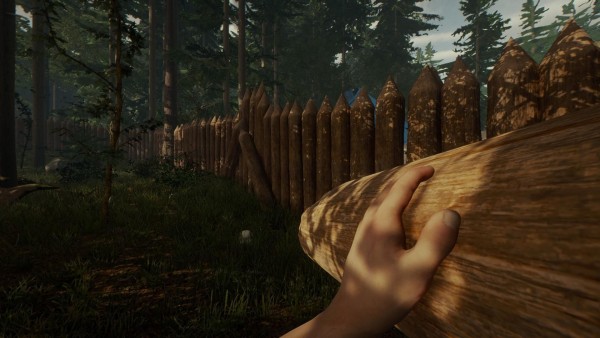森林the forest什么时候出 森林theforest发售时间