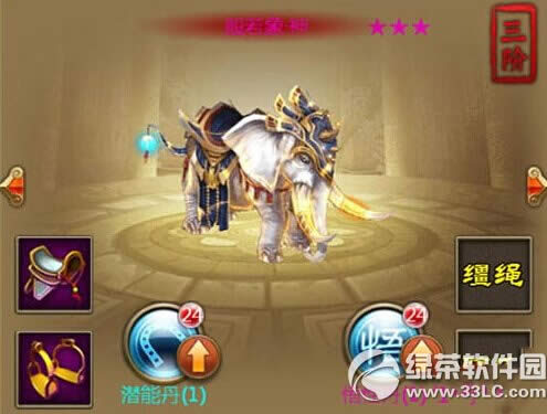 3��׹Ǿ����������������� �����������