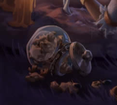 �����˸���ʥ������ͼ��ʲô�ʵ� �����˸���ʥ������ͼ�ʵ�����