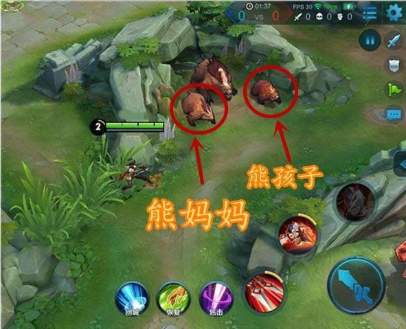 ������ҫS13������������� ������ҫS13����������ϸ��