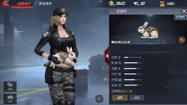 CF��������ǹ����� CF��������ǹ���ݶԱȽ���