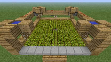 �ҵ�����С����ʲô�� �ҵ�����С������һЩ�÷�