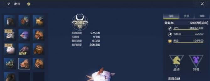 妄想山海坐骑大全 有哪一些坐骑
