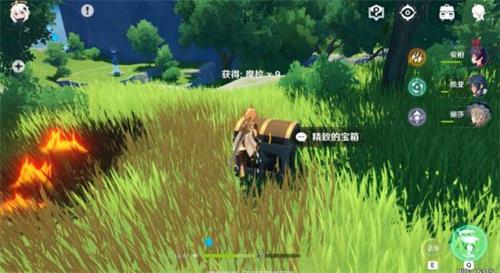 原神蒲公英海的狐狸在什么地方_原神手游蒲公英海的狐狸书籍位置详细说明
