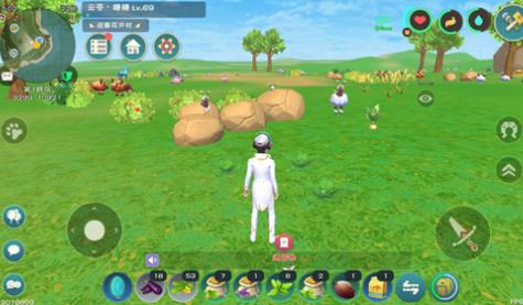 创造与魔法薄荷在什么地方找_创造与魔法薄荷刷新位置列表