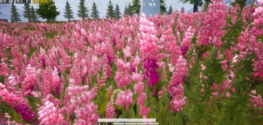 与平精英山谷地图鲁冰花海在什么地方找_与平精英山谷地图鲁冰花海位置图文列表