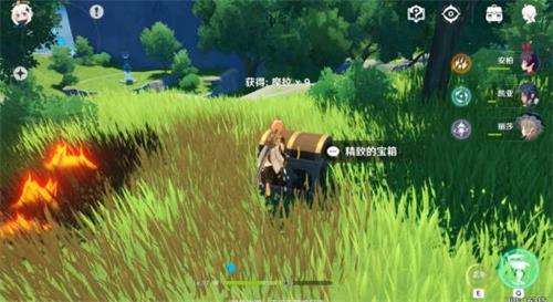 原神白萝卜如何取得_原神白萝卜取得攻略