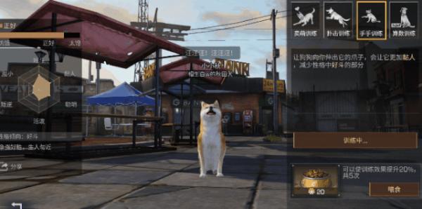 明日之后寻回犬如何训练_明日之后手游寻回犬训练方式攻略