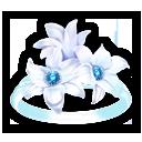 QQɳ鶨Ϧָε_QQɳ鶨Ϧָȡù