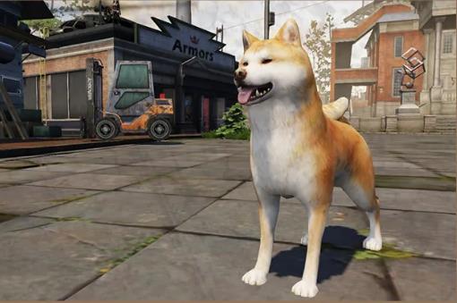 明日之后80级武器配方合成率UP活动内容奖励_明日之后80级武器配方合成率UP活动详情