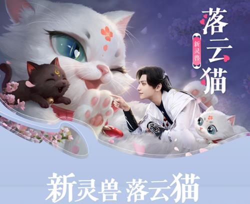 ٻŮĻèε_ٻŮĻèȡ÷ʽ