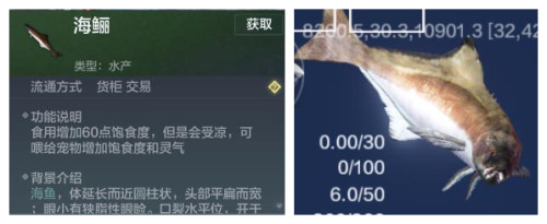 妄想山海海鲡如何抓_妄想山海海鲡捕捉办法