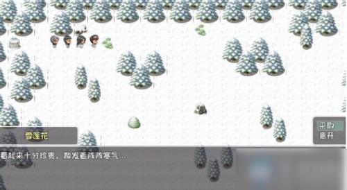 大千世界雪莲花如何取得_大千世界雪莲花取得方式攻略