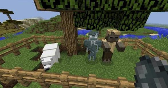 �ҵ����������޾��þ���������ʲô_�ҵ����������޾��þ������������б�