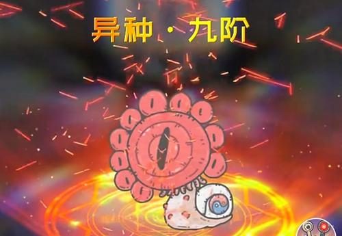 ��ǿ��ţ�ڹ����Ū��_��ǿ��ţ�ڹ�������ʽ����