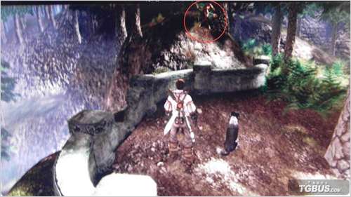 《神鬼寓言3》全地精攻略