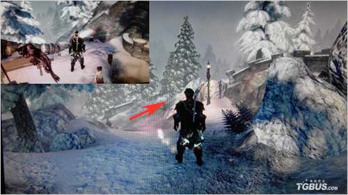 《神鬼寓言3》全地精攻略