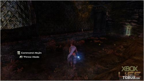 ��ħ�ˣ�ʧ�����������ϸ���̹��Եڶ�ƪ