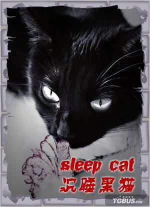 ����ɫ��ǡ��޾�͸���ԣ������У�