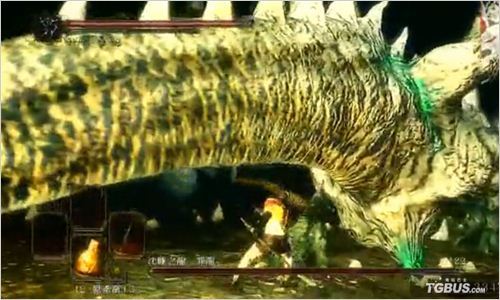 ���ڰ�֮��2������3��Ŀ��ǿ������������Ƶ